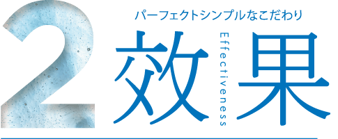 ２．効果 Effectiveness